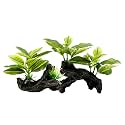Fish Tank Decorations Aquarium Decor Ornaments Betta