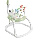Fisher-Price Baby Bouncer SpaceSaver Jumperoo Musical Activity Center with Lights Sounds &amp; Developmental Toys, Puppy Perfection