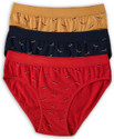 FiveFlag Women Hipster Multicolor Panty