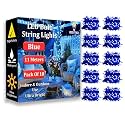 fizzytech Light for Diwali, Christmas, Weddings &amp; Home Decoration | Polycarbonate (40 LED Blue P-5)