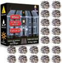 FIZZYTECH 40 LEDs 11 m White Flickering