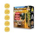 fizzytech Plastic 60 Led Rice Light For Decoration Strip And Series Light For Diwali Christmas Lights Of Home Decoration, Bedroom Wedding, Birthday Party Patio-20 Meter (Pack Of 5, Warm White)