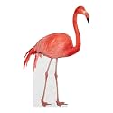 Flamingo - Life Size Cardboard Cutout Standup People with Support Standee | Animals -