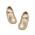 Flaryzone Toddler Girls Mary Jane School Uniform Oxfords Dress Shoes Flats