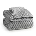Fleece Sherpa Weighted Blanket for Teens, Ultra Soft Fuzzy, 41"x60" 10lbs