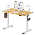 FLEXISPOT 40x24 Inch Electric Standing Desk, Maple