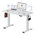 FLEXISPOT 48x24 Inch Electric Standing Desk, White