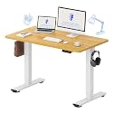 FLEXISPOT 48x24 Inch Electric Standing Desk, Maple