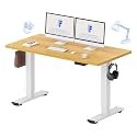 FLEXISPOT 55x24 Inch Electric Standing Desk, Maple