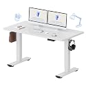 FLEXISPOT 55x24 Inch Electric Standing Desk, White