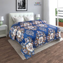 Flipkart Perfect Homes 3D Printed Double Comforter for  AC Room