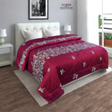 Flipkart Perfect Homes 3D Printed Double Comforter for  AC Room