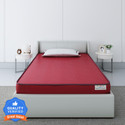 Flipkart Perfect Homes Bliss White 4 inch King PU Foam Mattress (L x W: 72 inch x 72 inch)
