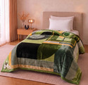Flipkart Perfect Homes Floral Single Mink Blanket