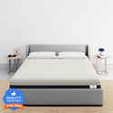 Flipkart Perfect Homes GenNXT Orthopedic Memory 10 inch King PU Foam Mattress