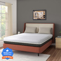 Flipkart Perfect Homes GenNXT Orthopedic Memory 6 inch Single PU Foam Mattress