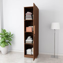 Flipkart Perfect Homes Jules Engineered Wood 1 Door Wardrobe