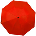 Flipkart SmartBuy 2 fold Auto Open Polyester Umbrella