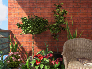 Flipkart SmartBuy 300 cm Wall Stickers Wallpaper