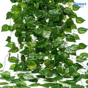 flipkart smartbuy artificial money plant bail creeper for home office and garden decor artificial plant 201 cm green