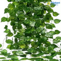 Flipkart SmartBuy Artificial Money Plant Bail Creeper for Home, Office And Garden Decor Artificial Plant (201 cm, Green)