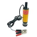 FLOJOY Asian Pumps&Machineries 24V 70W Oil Fuel Diesel Water Transfer Submersible Pump With Filter 8500 Rpm, 16Mm Outlet With Filter For Car Truck Camping Motorbike Flow 30L/Min Head 2.5M