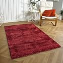 Flooring India Co Newman Carpet 2500 GSM