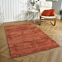 Flooring India Co Newman Carpet 2500 GSM