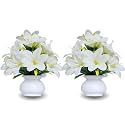 Flora Planet Artificial Plants for Home Decor | Set of 2 Artificial Flowers for Decoration | Decorative Items for Home | Home Decor Items for Living Room | mini Size Flowers Pot 12 cm Height (2White)