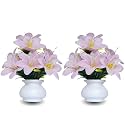 Flora Planet Artificial Plants for Home Decor | Set of 2 Artificial Flowers for Decoration | Decorative Items for Home | Home Decor Items for Living Room | mini Size Flowers Pot 12 cm Height (2LPink)