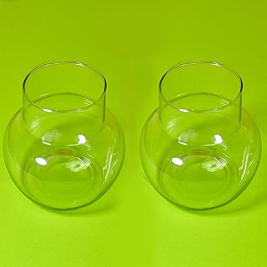 flora solutions glass vase for bamboo plant money plant flower vase candy jar pack 2