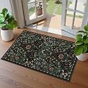 Floral 2x3 Entryway Rug Washable Doormat Indoor Throw Rug, Black