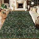 Floral Area Rug 5x8 Botanical Washable Carpet for Living Room