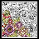 Design Works Crafts Floral Zenbroidery Kit, Multicolored