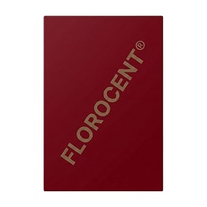 florocent bright neon colored paper vibrant both-side colour 80 gsm coated finish 100 sheets pack brown a4