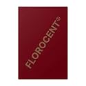 FLOROCENT Bright Neon Colored Paper, Vibrant Both-Side Colour, 80 GSM Coated Finish, 100 Sheets Pack, Brown, A4