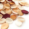 Floroom 300pcs Rose Petals Chic Terracotta Faux Silk Flower Petals Burnt Orange for Wedding Flower Girl Basket Aisle Scatter Table Centerpieces Party Confetti Bridal Shower Romantic Night Decoration