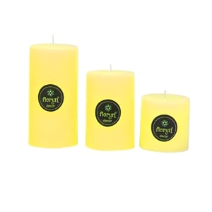 floryn decor paraffin wax smokeless scented candles scented pillar candle pack of 3 scent- jasmine 2 by 6 2 by 4 2 by 2 inches