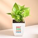 FlowerAura Lucky Money Live Indoor Plant In Plastic Pot With Sticker For Living Room, Balcony, Table Decor, Office & Home Decor | Air-Purify Indoor Greenery | Fathers Day For Dad (Same Day Delivery)
