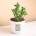 FlowerAura Lucky Jade Live Indoor Plant In Plastic Pot With Sticker For Living Room, Balcony, Table Decor, Office &amp; Home Decor | Air-Purify Indoor Greenery | Fathers Day For Dad (Same Day Delivery)