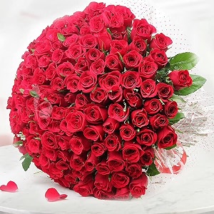 floweraura premium fresh live flower bouquet of 150 red roses in designer packing gift for birthday  anniversary  love  home decor  fathers day gift for dad same day delivery