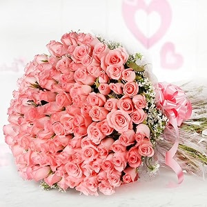 floweraura premium fresh live flower bouquet of 100 pink roses in designer packing gift for birthday  anniversary  love  home decor  fathers day gift for dad same day delivery