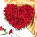 FlowerAura Premium Fresh Live Flower Bouquet of 50 Silky Red Roses In Designer Heart Box Gift For Birthday | Anniversary | Love | Home Decor | Fathers Day Gift For Dad (Same Day Delivery)