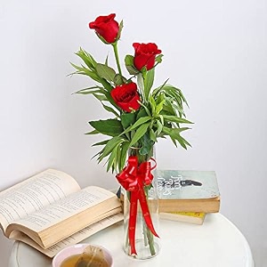 floweraura premium fresh live flower bouquet of 3 red roses in glass vase gift for birthday  anniversary  love  home decor  fathers day gift for dad same day delivery
