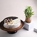 FlowerAura Delicious Fresh 500 Gram Choco Vanilla Cake With Decorative Air Purifying Live Bamboo Plant Valentine's Day Gift For Girlfriend, Boyfriend, Husband &amp; Wife (Same Day Delivery)