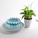 FlowerAura Delicious Fresh 500g Bluish Chocolate Cake With Decor Air Purifying Live Green Money Plant For Valentine's Day Gift, Birthday Gift, Anniversary Gift &amp; Mother's Day Gift (Same Day Delivery)