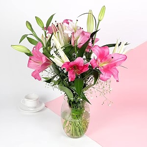floweraura premium fresh live flower bouquet of 6 pink amp white lilies in designer glass vase gift for birthday  anniversary  love  home decor  fathers day gift for dad same day delivery