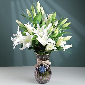 floweraura premium fresh live flower bouquet of 5 white lilies in designer glass vase gift for birthday  anniversary  love  home decor  fathers day gift for dad same day delivery