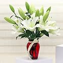 FlowerAura Premium Fresh Live Flower Bouquet of 5 White Lilies In Designer Glass Vase Gift For Birthday | Anniversary | Love | Home Decor | Fathers Day Gift For Dad (Same Day Delivery)