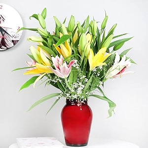 floweraura premium fresh live flower bouquet of 30 pink white amp white roses in designer glass vase gift for birthday  anniversary  love  home decor  fathers day gift for dad same day delivery